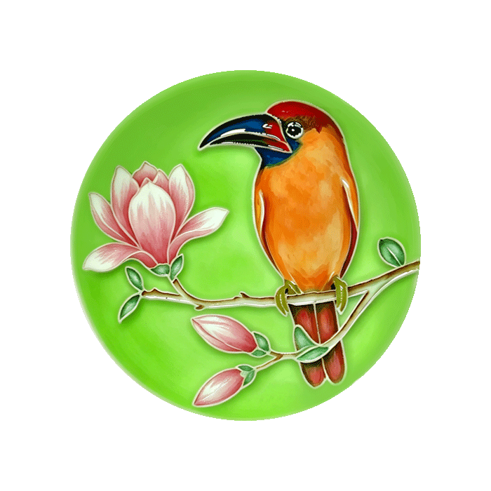 Bird & Nature